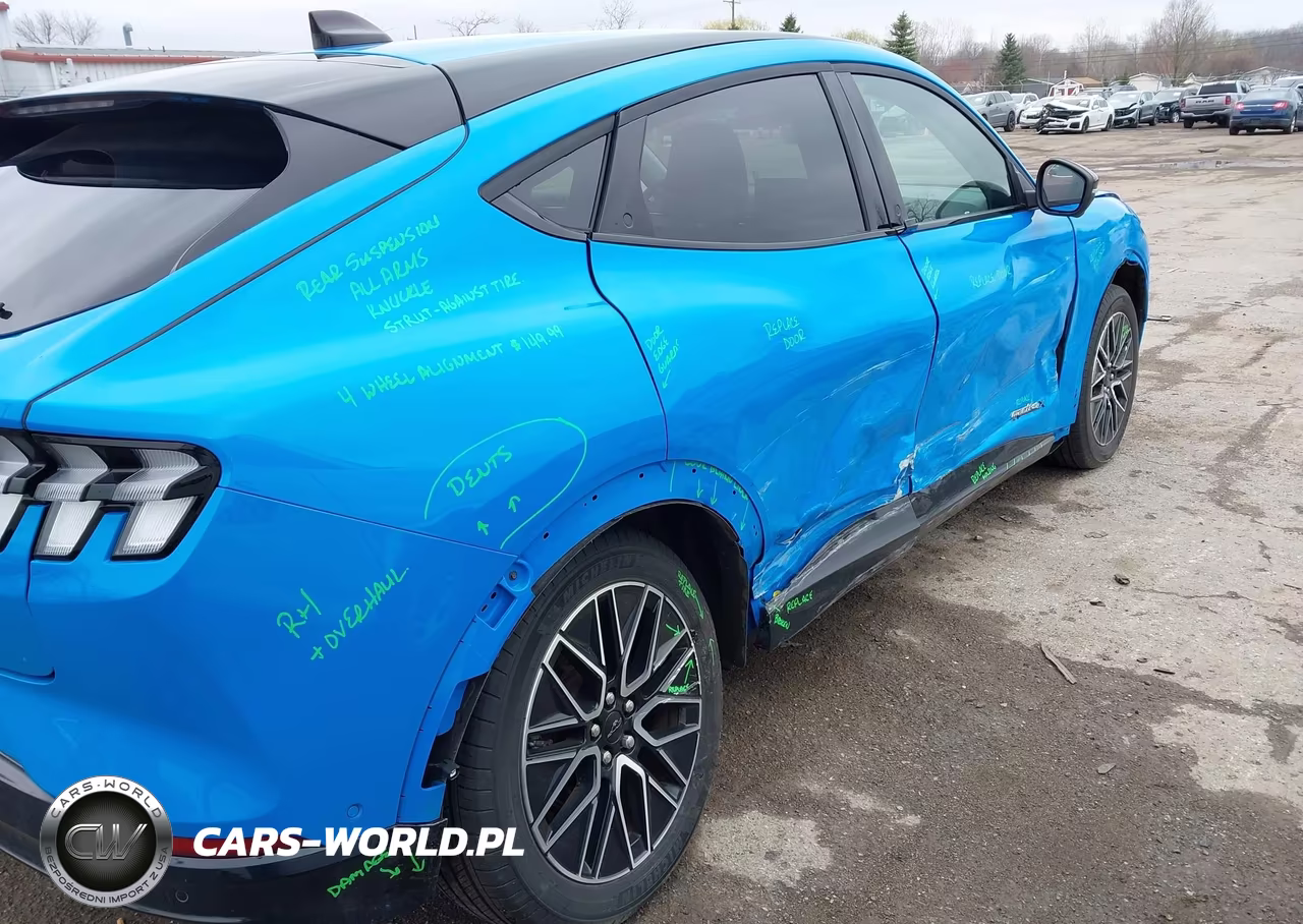 2024 Ford Mustang Mach-E Premium VIN:3FMTK3SUXRMA47955 - 19