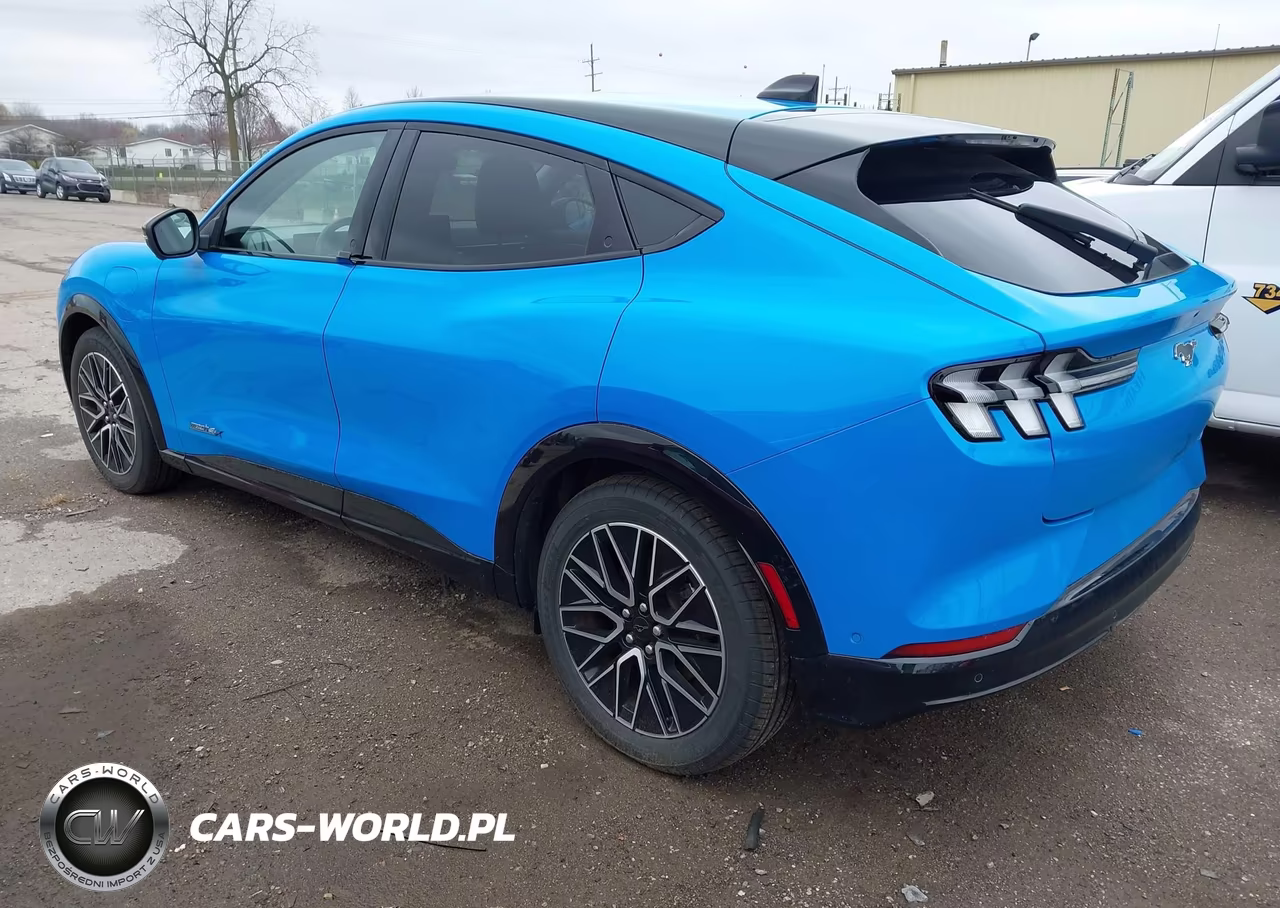 2024 Ford Mustang Mach-E Premium VIN:3FMTK3SUXRMA47955 - 3