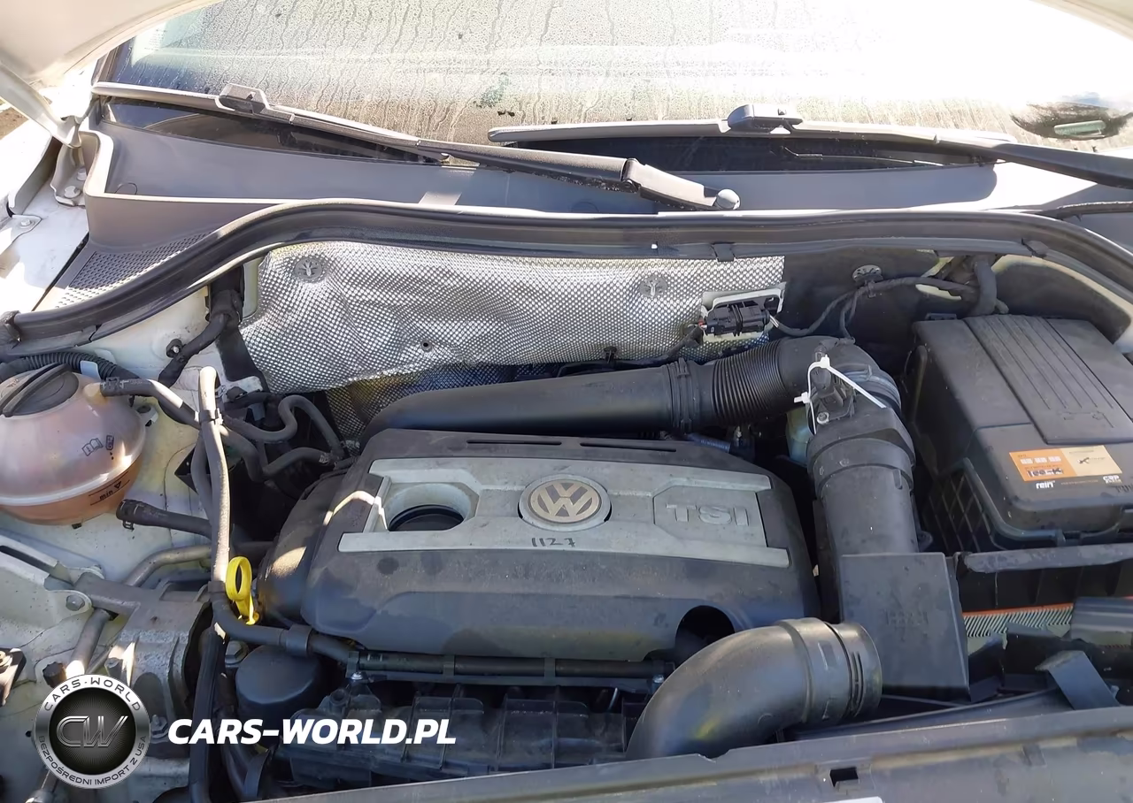 2013 Volkswagen Tiguan S VIN:WVGAV3AX8DW620774 - 10