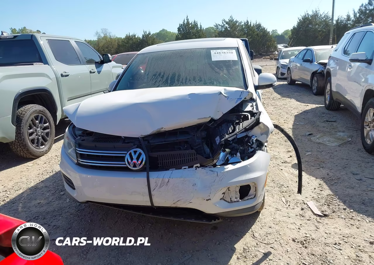 2013 Volkswagen Tiguan S VIN:WVGAV3AX8DW620774 - 12