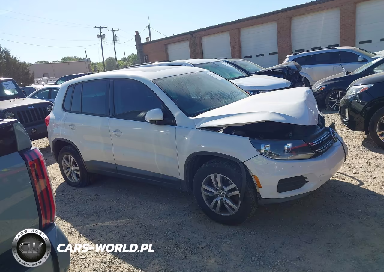 2013 Volkswagen Tiguan S VIN:WVGAV3AX8DW620774 - 13