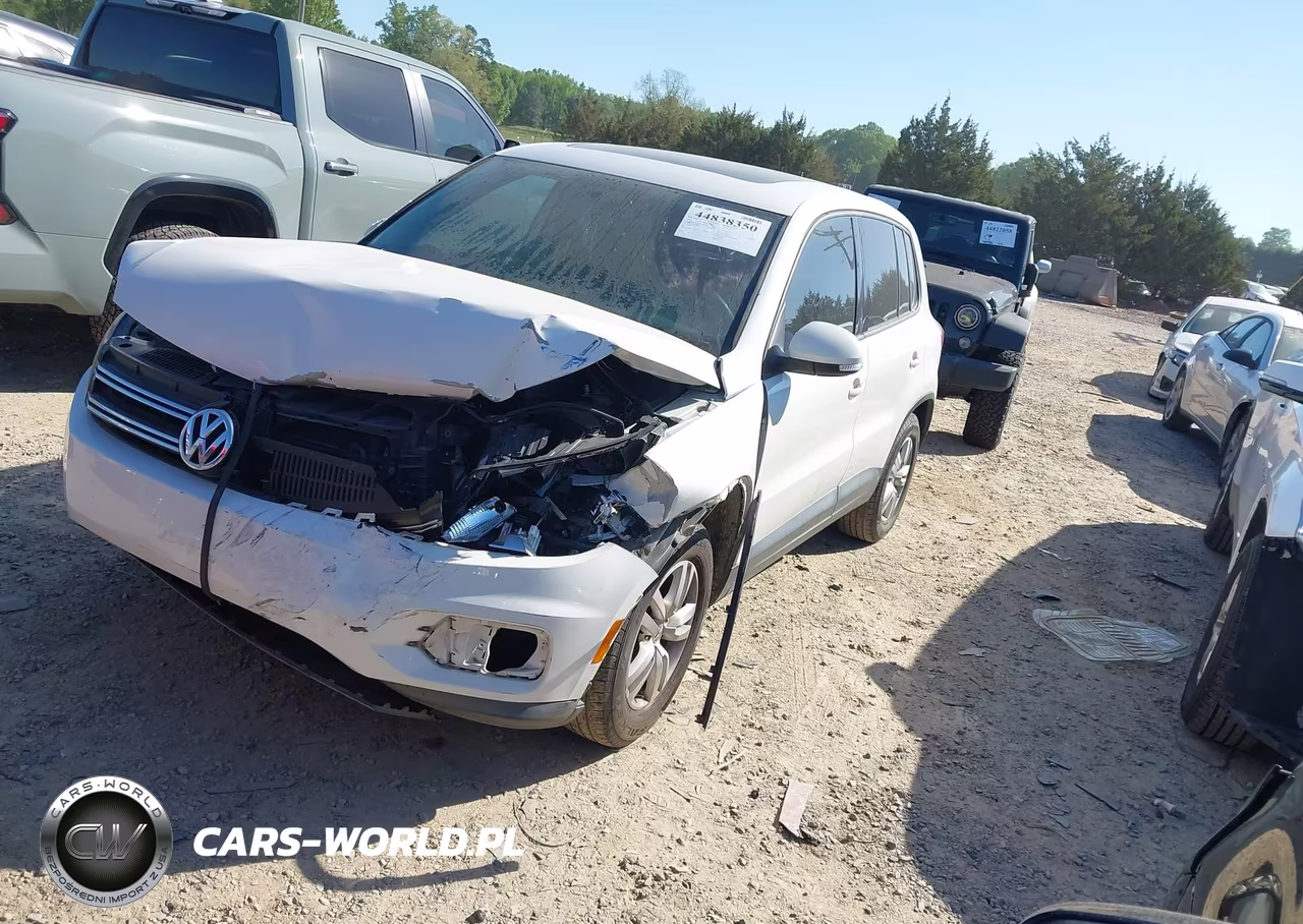 2013 Volkswagen Tiguan S VIN:WVGAV3AX8DW620774 - 2