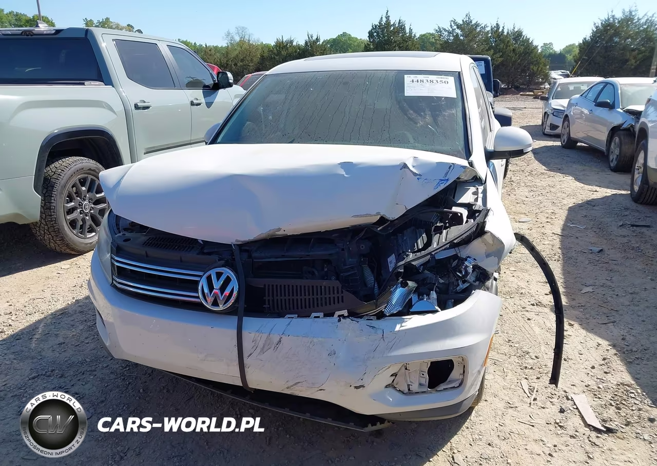 2013 Volkswagen Tiguan S VIN:WVGAV3AX8DW620774 - 6