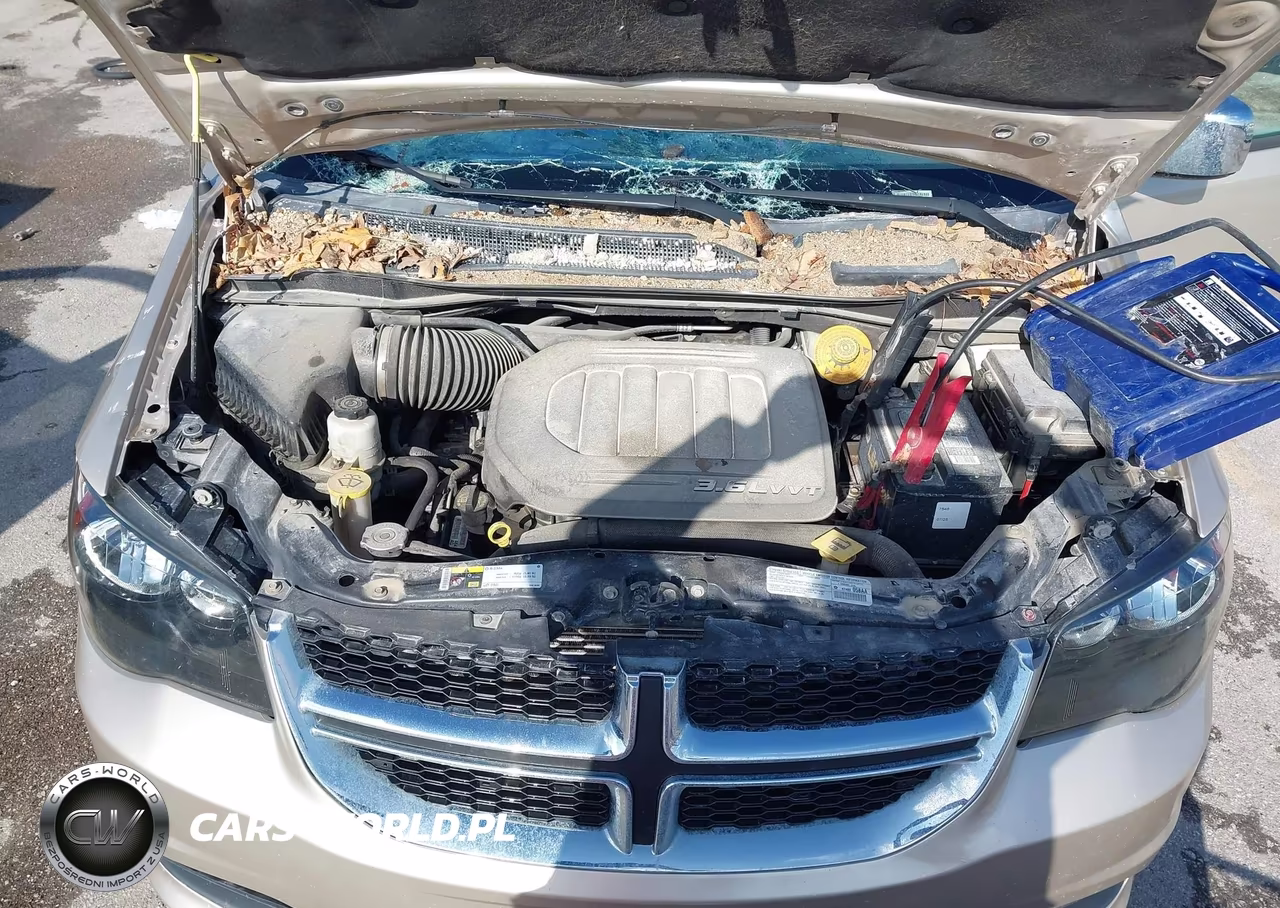 DODGE GRAND CARA VIN:2C4RDGBG4ER167974 - 10