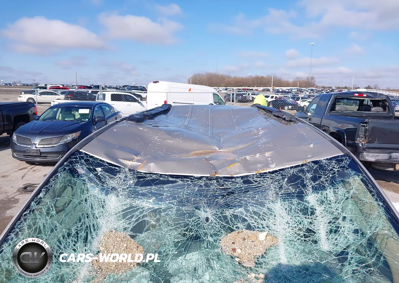 DODGE GRAND CARA VIN:2C4RDGBG4ER167974 - 12