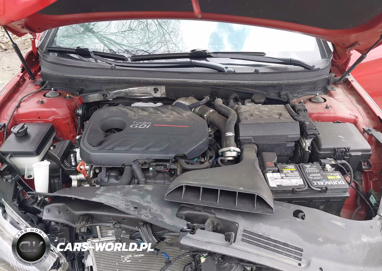 2019 Hyundai Sonata Limited 2.0T VIN:5NPE34AB4KH765478 - 10