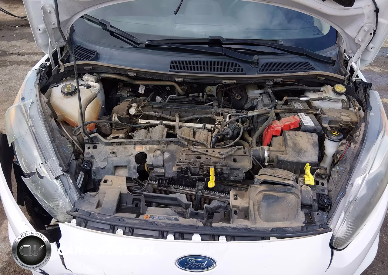 2019 Ford Fiesta St Line VIN:3FADP4DJ2KM165772 - 10