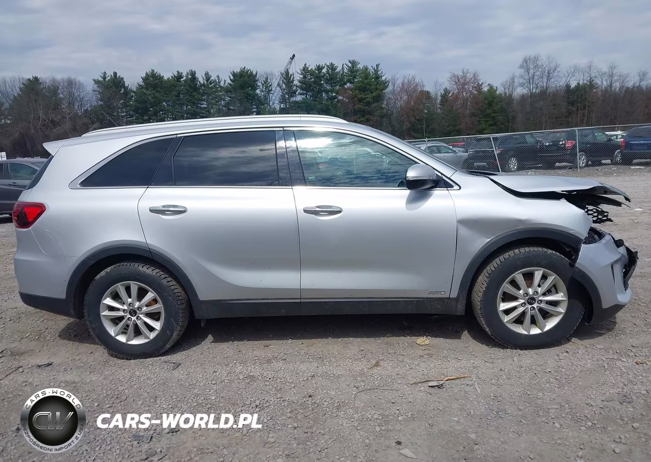 2020 Kia Sorento 2.4L Lx VIN:5XYPGDA31LG628125 - 13