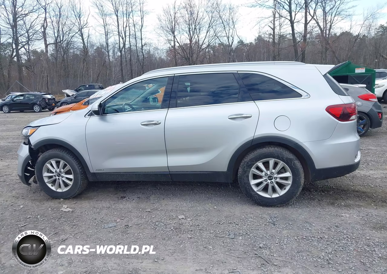 2020 Kia Sorento 2.4L Lx VIN:5XYPGDA31LG628125 - 14