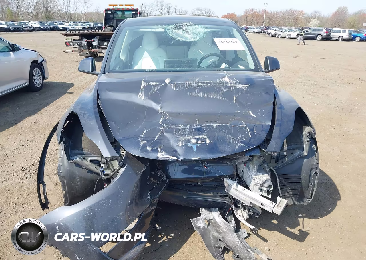 2024 Tesla Model Y Long Range Dual Motor All-Wheel Drive VIN:7SAYGDEE9RA329353 - 12