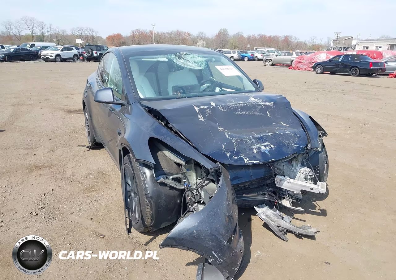 2024 Tesla Model Y Long Range Dual Motor All-Wheel Drive VIN:7SAYGDEE9RA329353 - 19