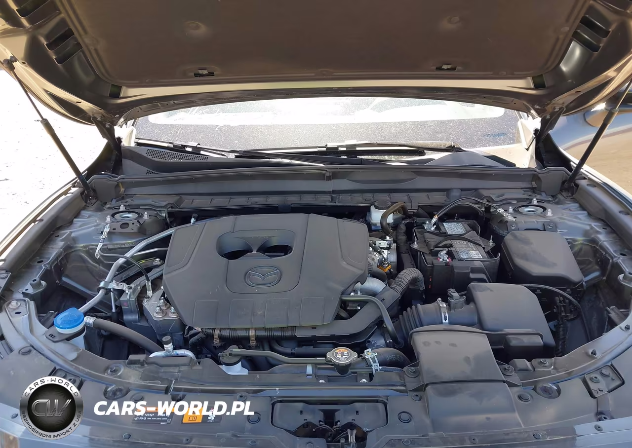 2025 Mazda Cx-50 2.5 S Preferred Package VIN:7MMVABBM3SN384215 - 10
