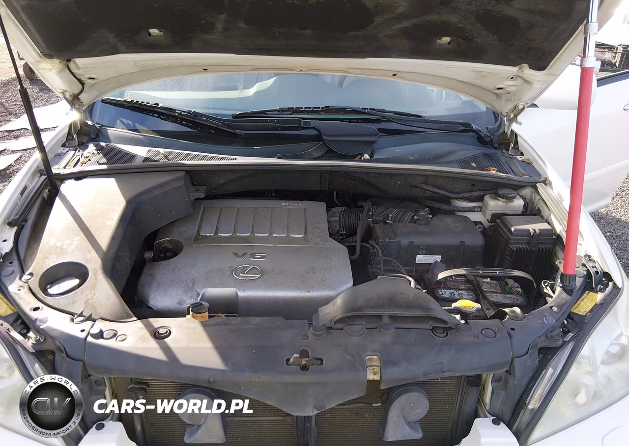 2009 Lexus Rx 350 VIN:2T2GK31U09C058569 - 10