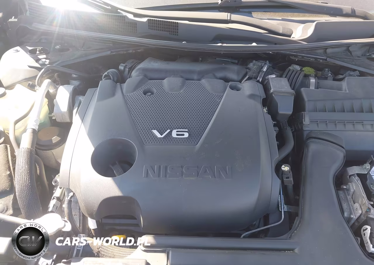 2016 Nissan Maxima 3.5 Platinum VIN:1N4AA6AP0GC408531 - 10