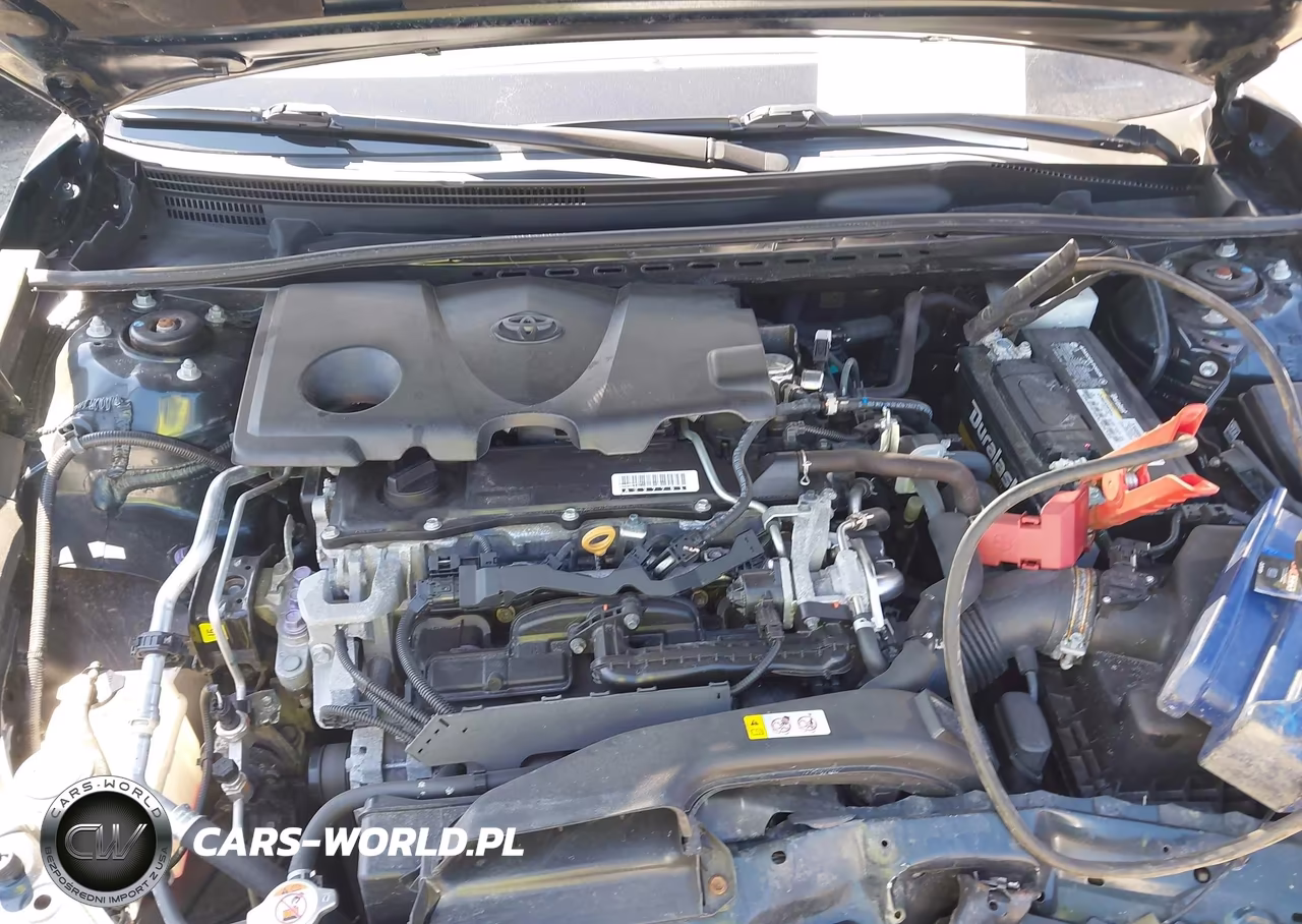2019 Toyota Camry Se VIN:4T1B11HK5KU234935 - 10