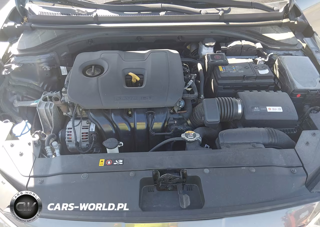2019 Hyundai Elantra Value Edition VIN:5NPD84LF5KH463873 - 10