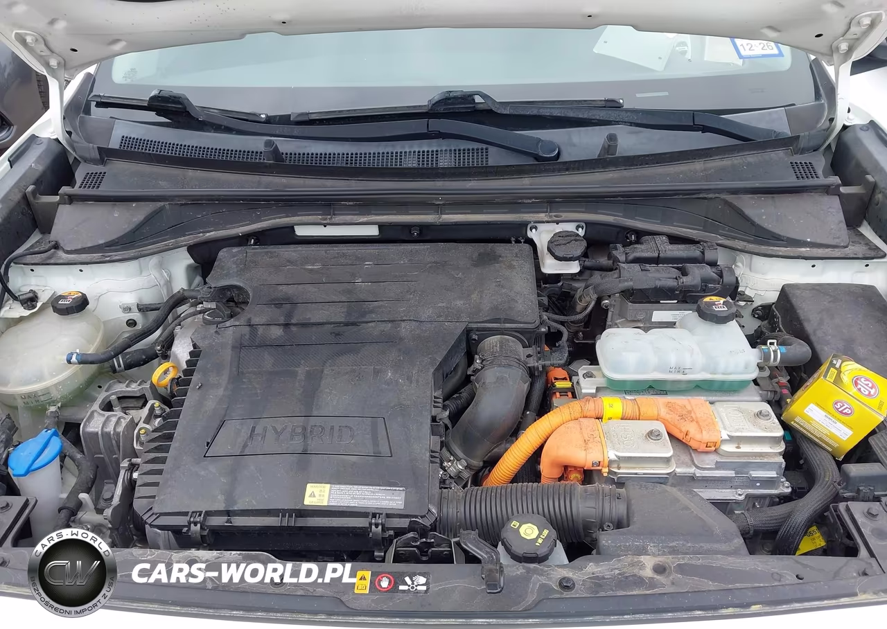 2019 Kia Niro Fe VIN:KNDCB3LC1K5347650 - 10