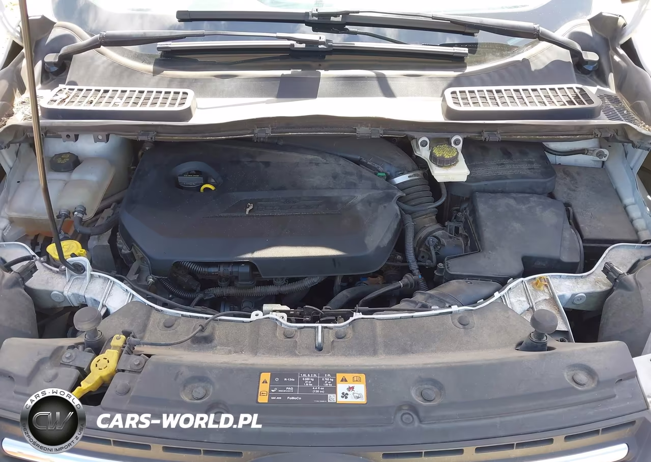 2014 Ford Escape Se VIN:1FMCU0GXXEUD66709 - 10