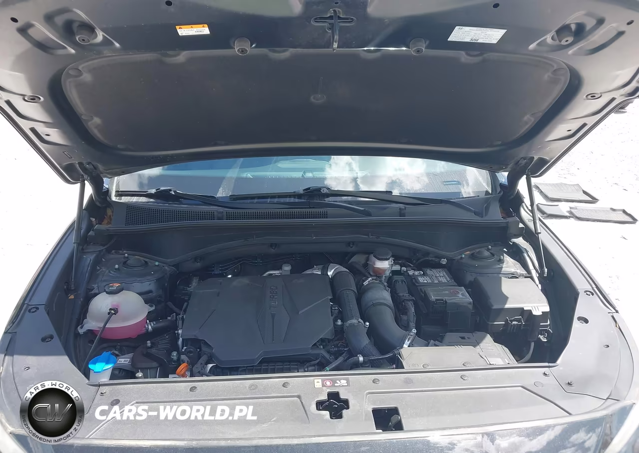 2023 Hyundai Santa Fe Limited VIN:5NMS4DAL1PH553537 - 10