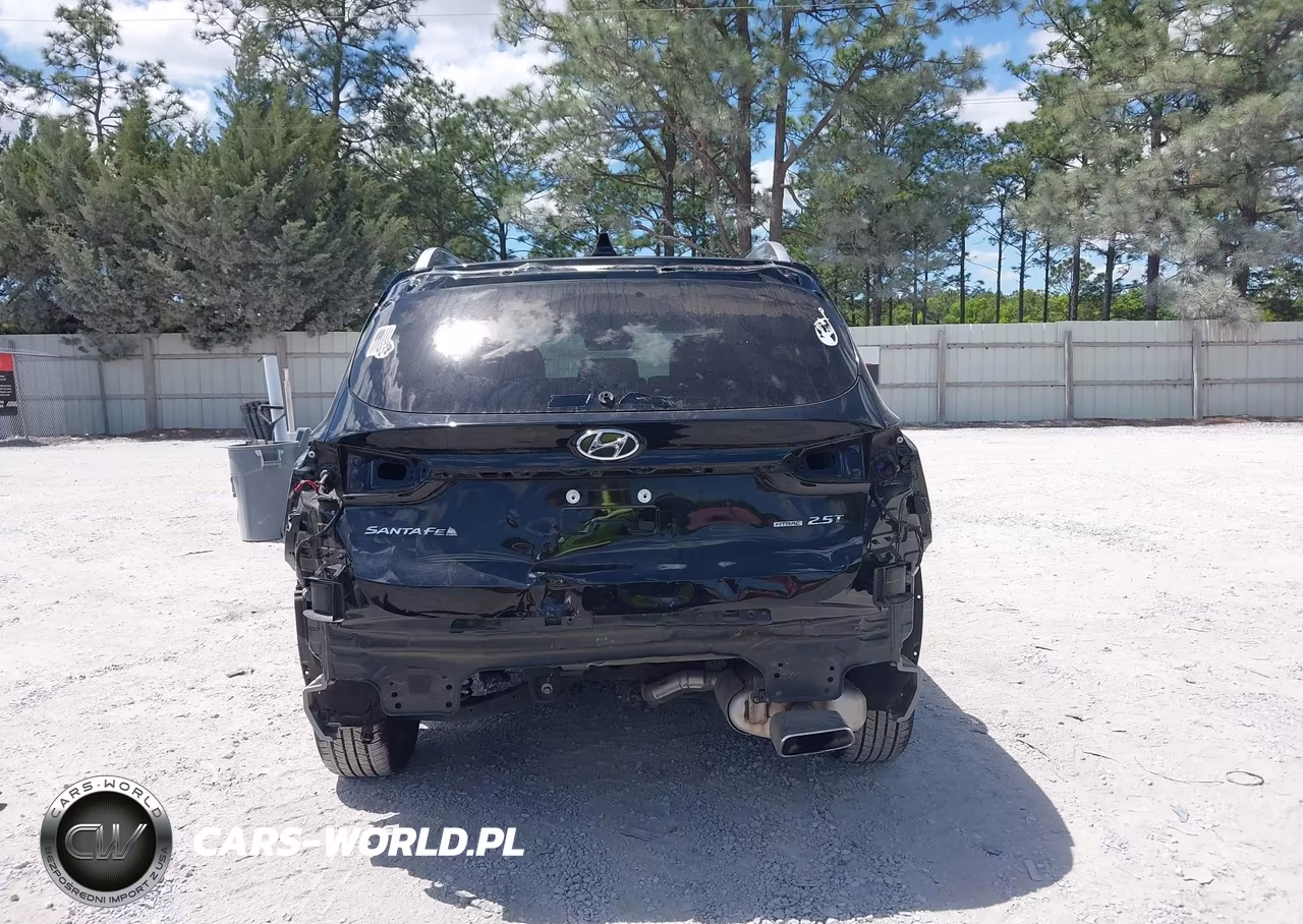 2023 Hyundai Santa Fe Limited VIN:5NMS4DAL1PH553537 - 17