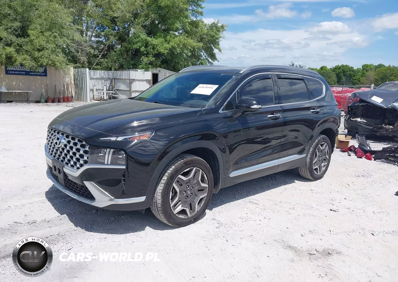 2023 Hyundai Santa Fe Limited VIN:5NMS4DAL1PH553537 - 2