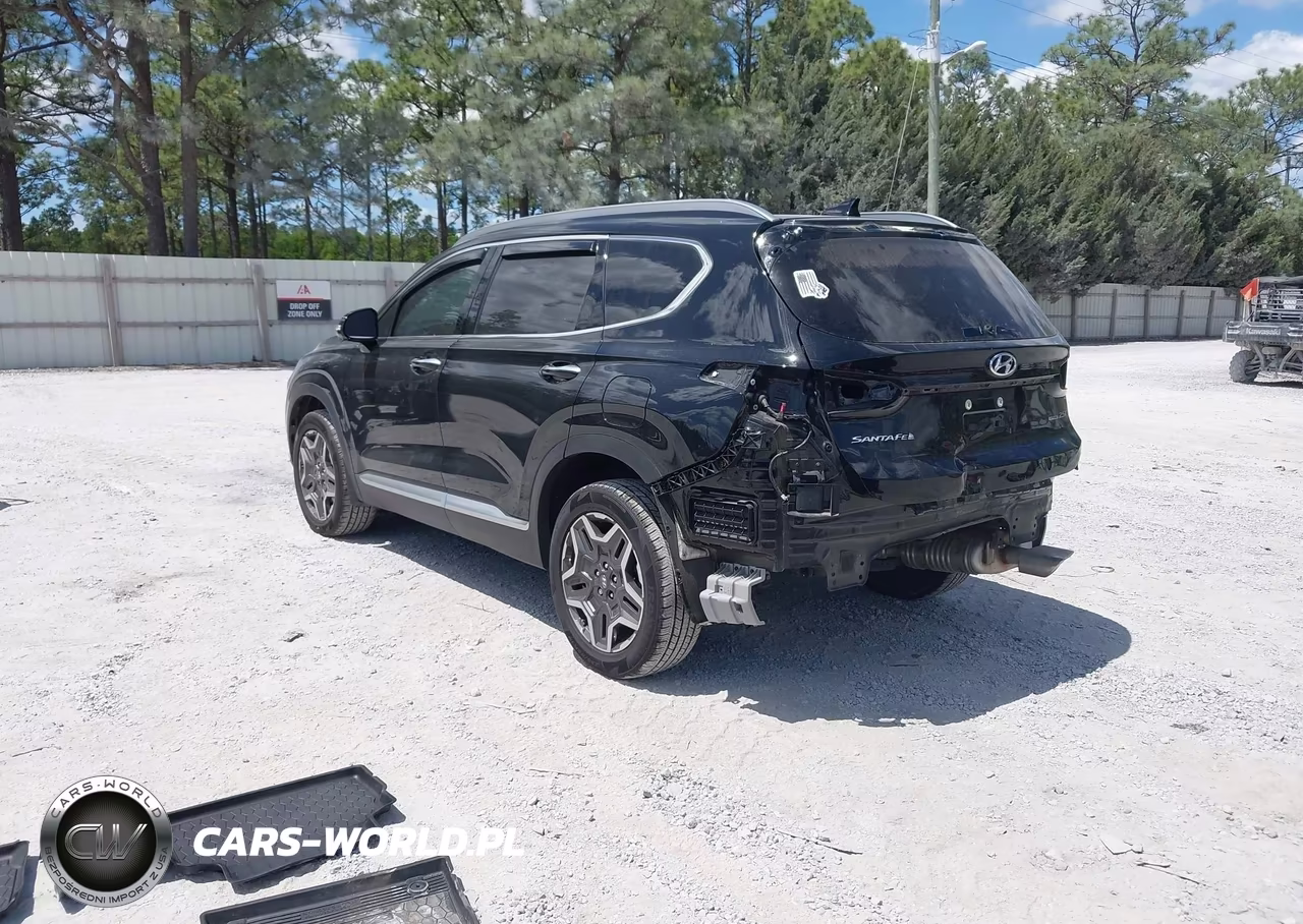 2023 Hyundai Santa Fe Limited VIN:5NMS4DAL1PH553537 - 3