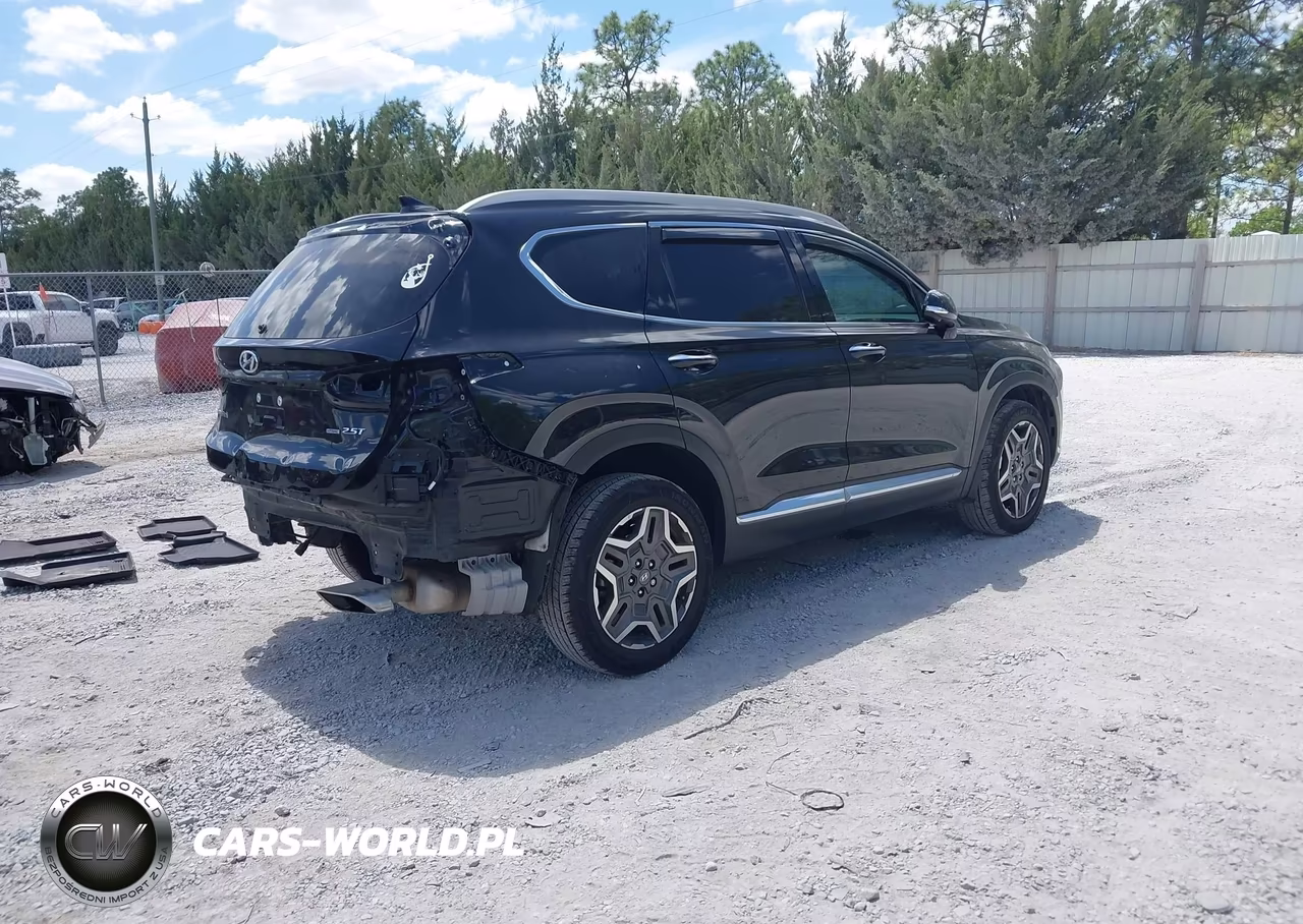2023 Hyundai Santa Fe Limited VIN:5NMS4DAL1PH553537 - 4