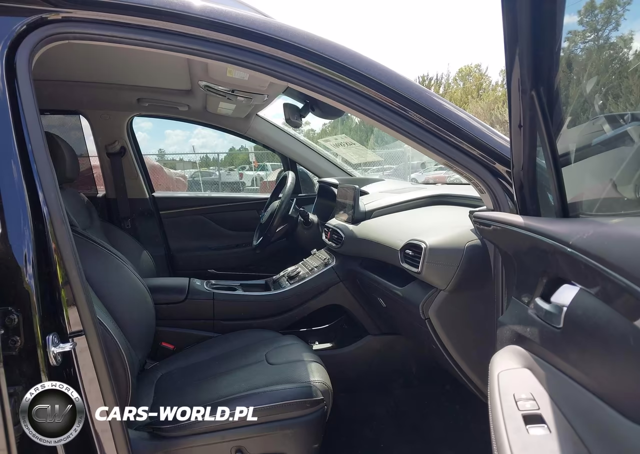 2023 Hyundai Santa Fe Limited VIN:5NMS4DAL1PH553537 - 5