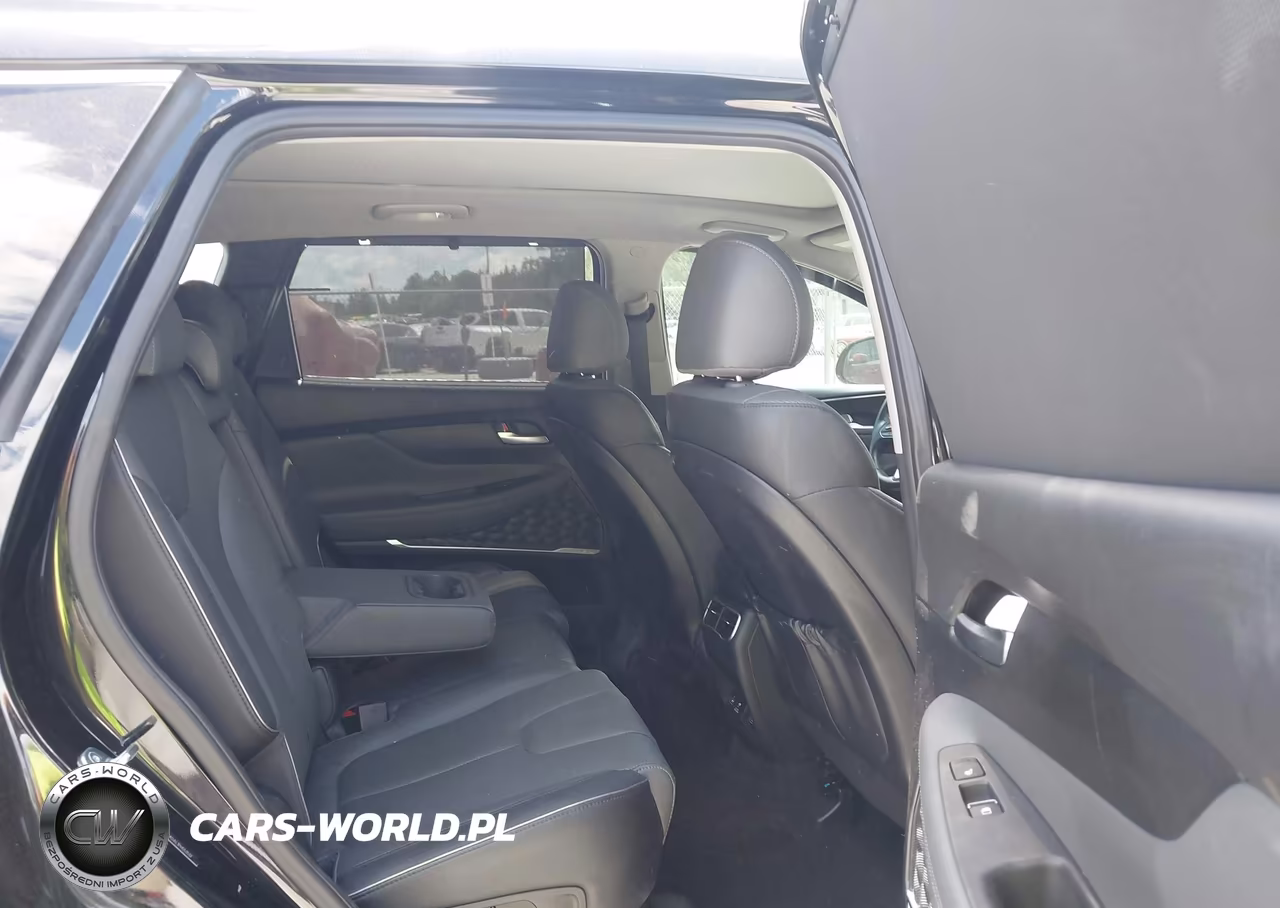 2023 Hyundai Santa Fe Limited VIN:5NMS4DAL1PH553537 - 8