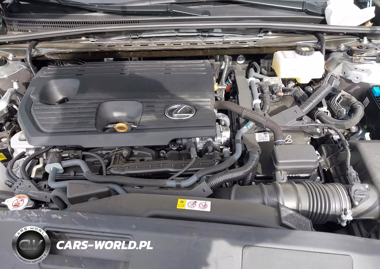 2025 Lexus Es 300H VIN:58ADA1C19SU070315 - 10