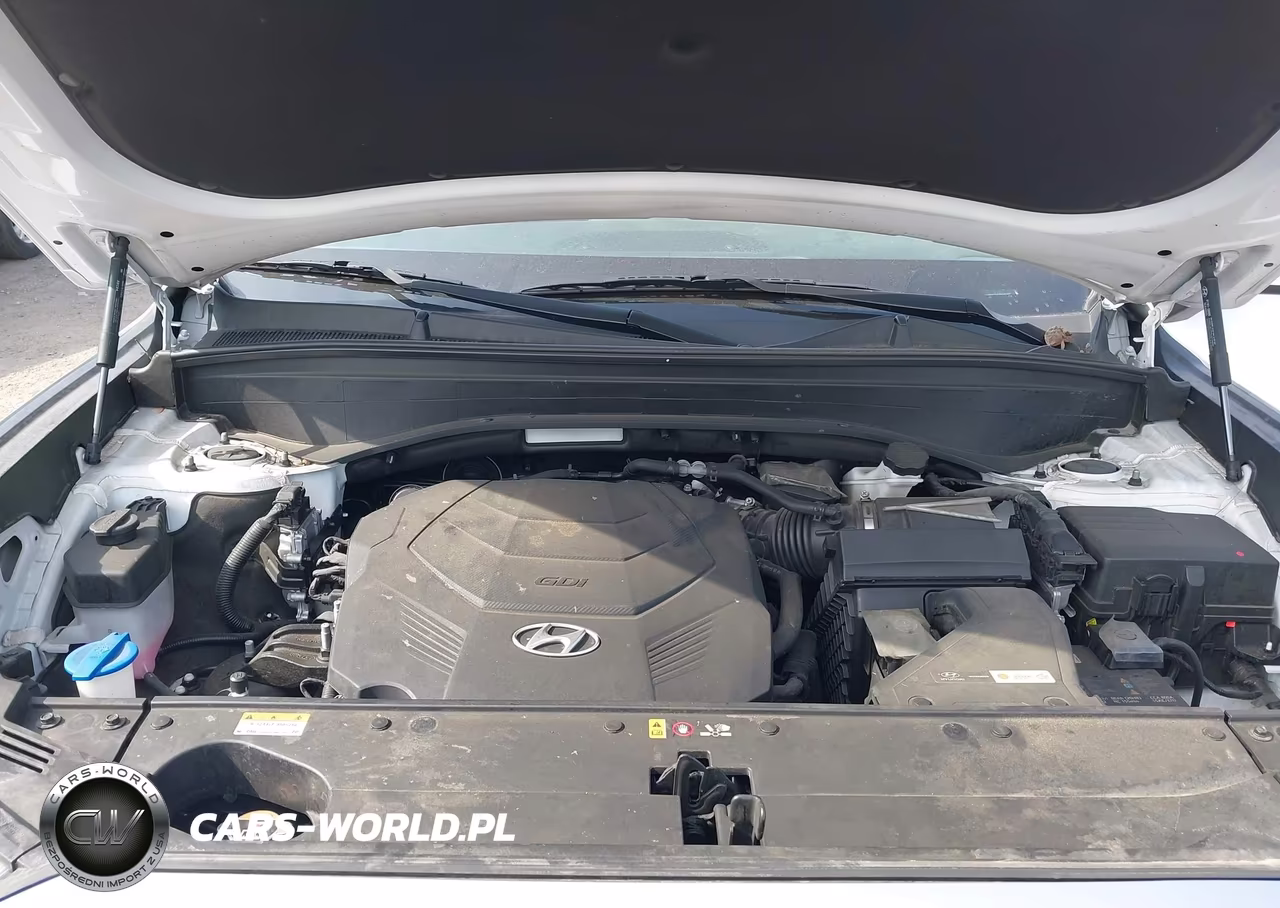 2022 Hyundai Palisade Se VIN:KM8R1DHE8NU465682 - 10