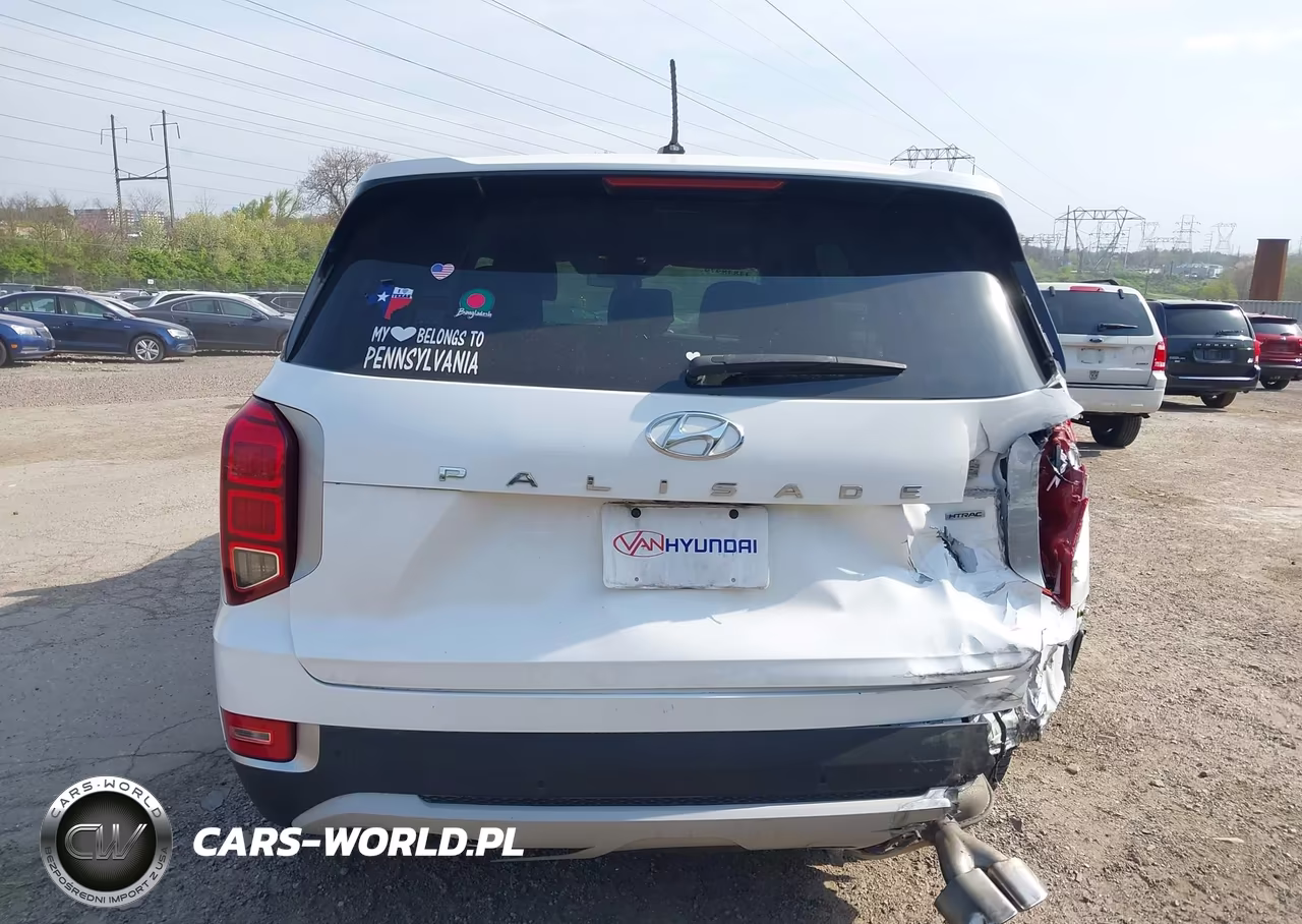 2022 Hyundai Palisade Se VIN:KM8R1DHE8NU465682 - 17