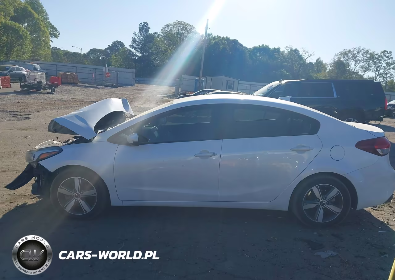 2018 Kia Forte Lx VIN:3KPFL4A78JE253287 - 14