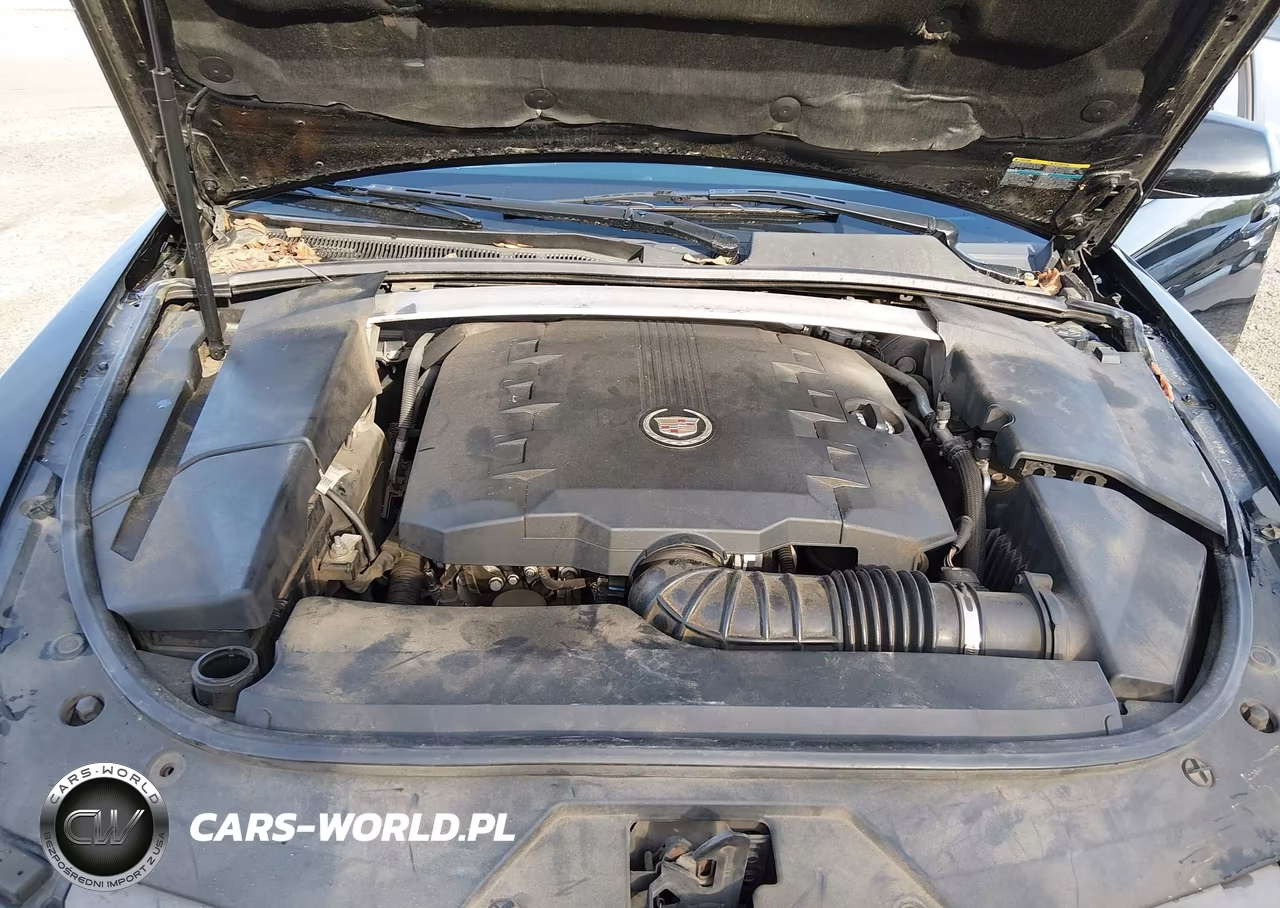 2010 Cadillac Cts Premium VIN:1G6DP5EV0A0107021 - 10