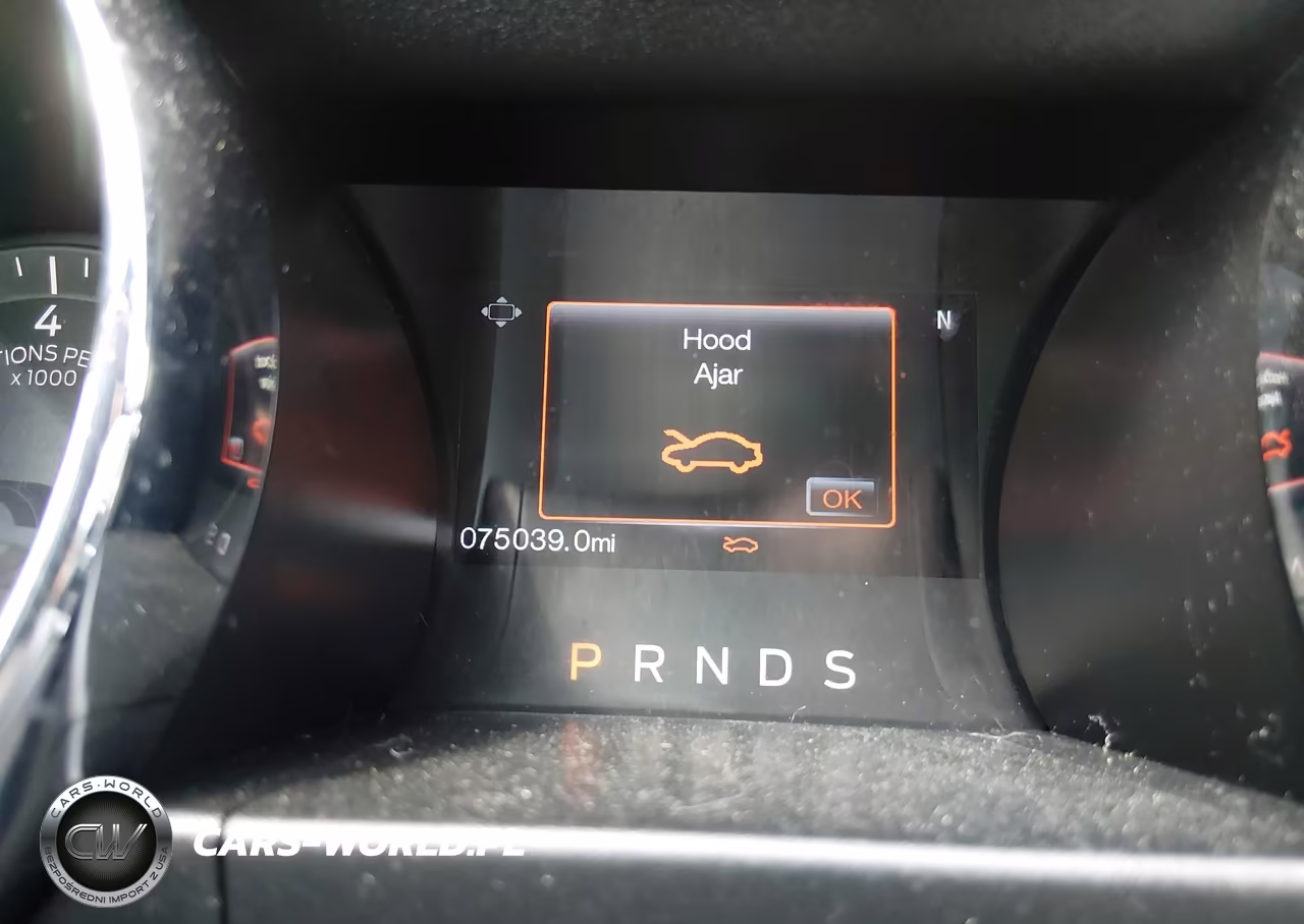 2016 Ford Mustang Ecoboost VIN:1FA6P8TH1G5208574 - 16
