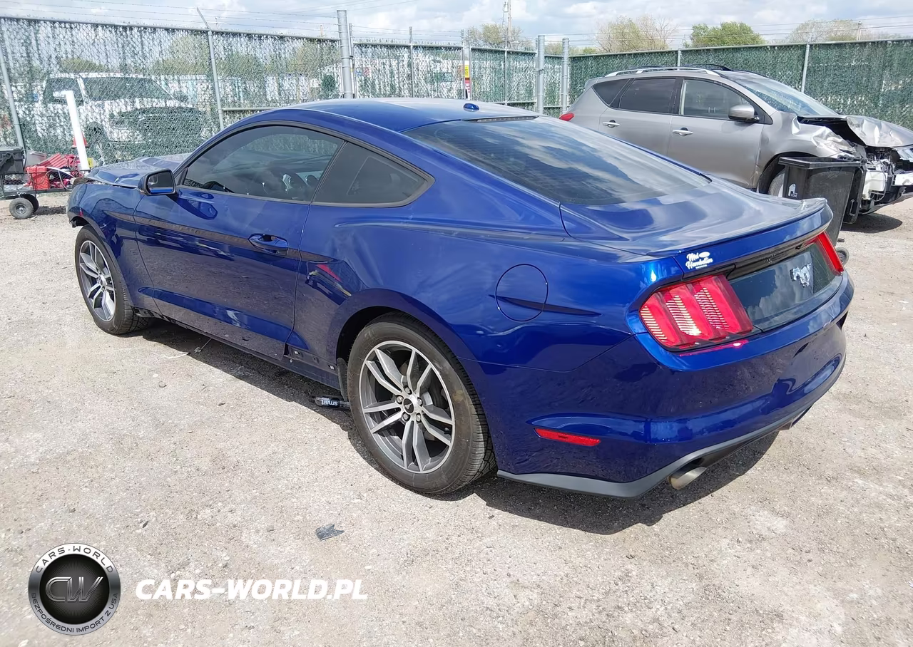 2016 Ford Mustang Ecoboost VIN:1FA6P8TH1G5208574 - 3