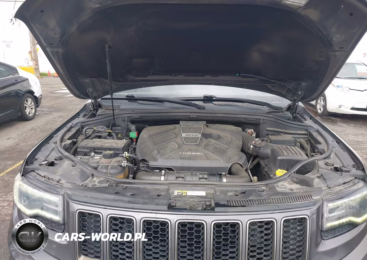 2016 Jeep Grand Cherokee High Altitude VIN:1C4RJFCM0GC395523 - 10