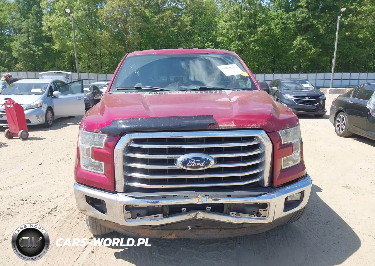 2015 Ford F-150 Xlt VIN:1FTEW1CP5FKD41104 - 12
