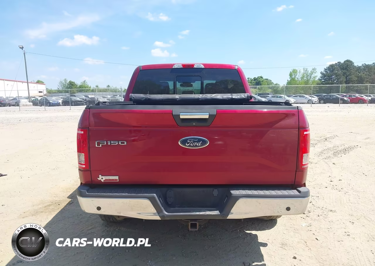 2015 Ford F-150 Xlt VIN:1FTEW1CP5FKD41104 - 16