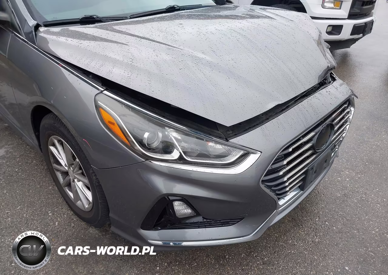 2018 Hyundai Sonata Se VIN:5NPE24AF5JH702250 - 17