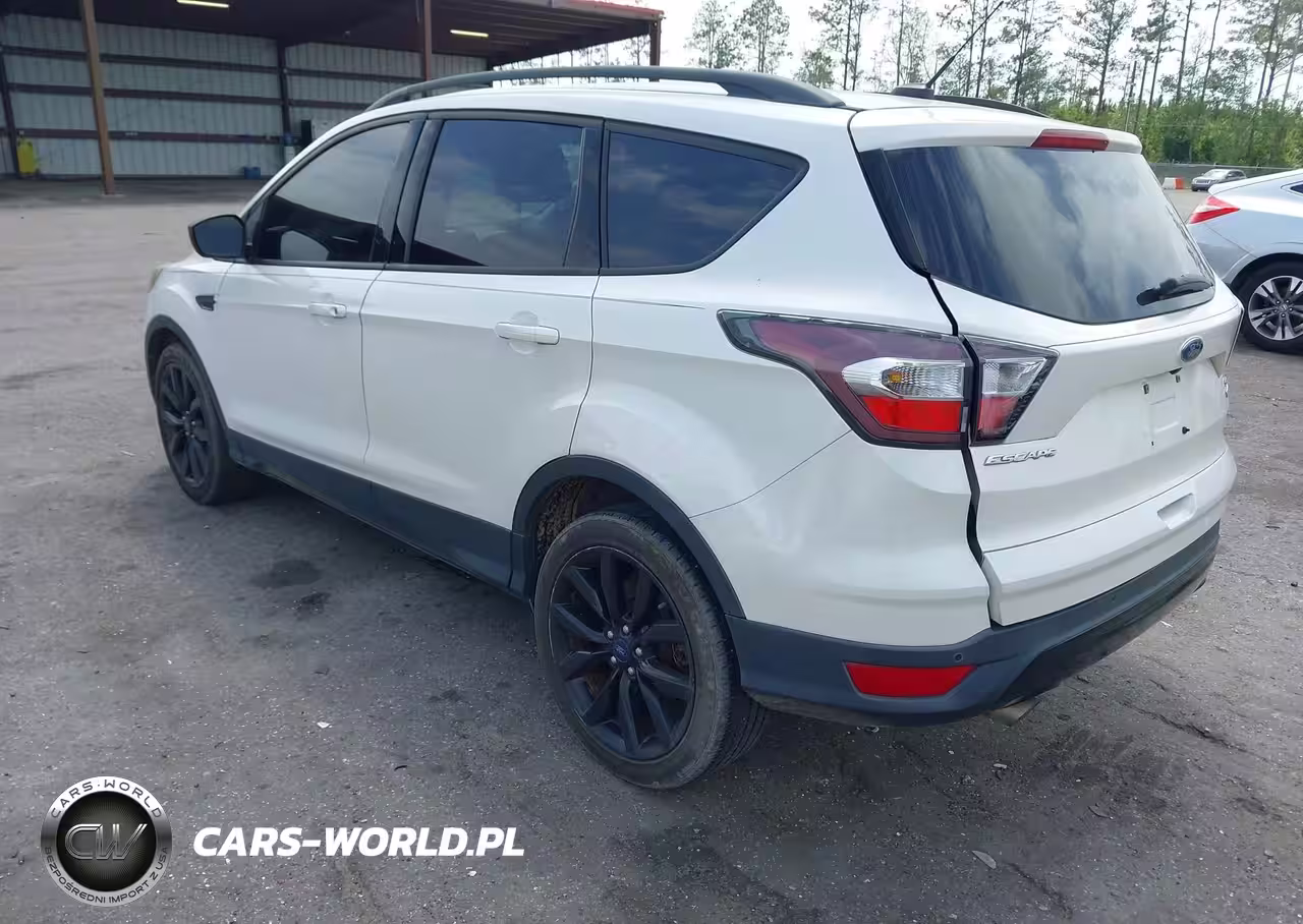 2017 Ford Escape Se VIN:1FMCU0GD8HUA38053 - 3