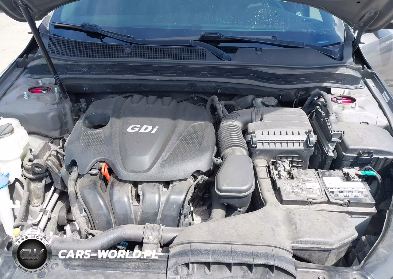 2015 Kia Optima Lx VIN:5XXGM4A71FG446347 - 10