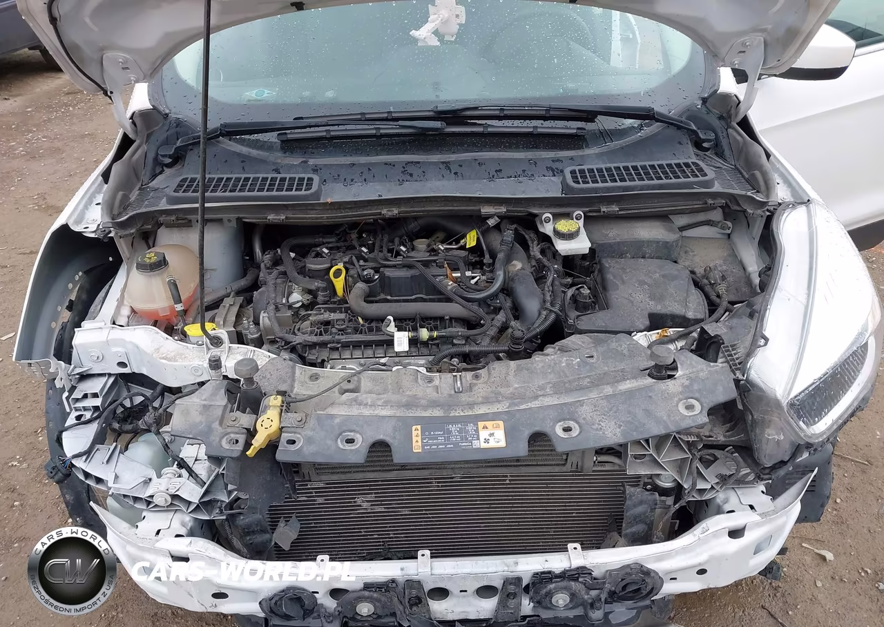 2019 Ford Escape Se VIN:1FMCU9GD6KUA64212 - 10