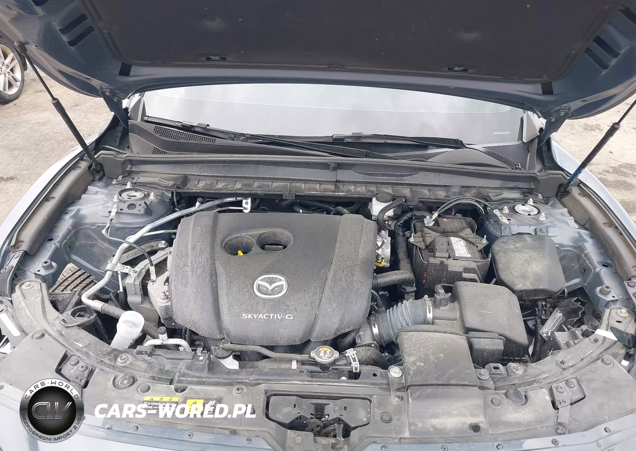 2024 Mazda Cx-50 2.5 S Premium Plus VIN:7MMVABEM2RN227877 - 10