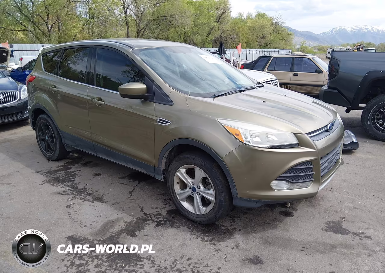2014 Ford Escape Se