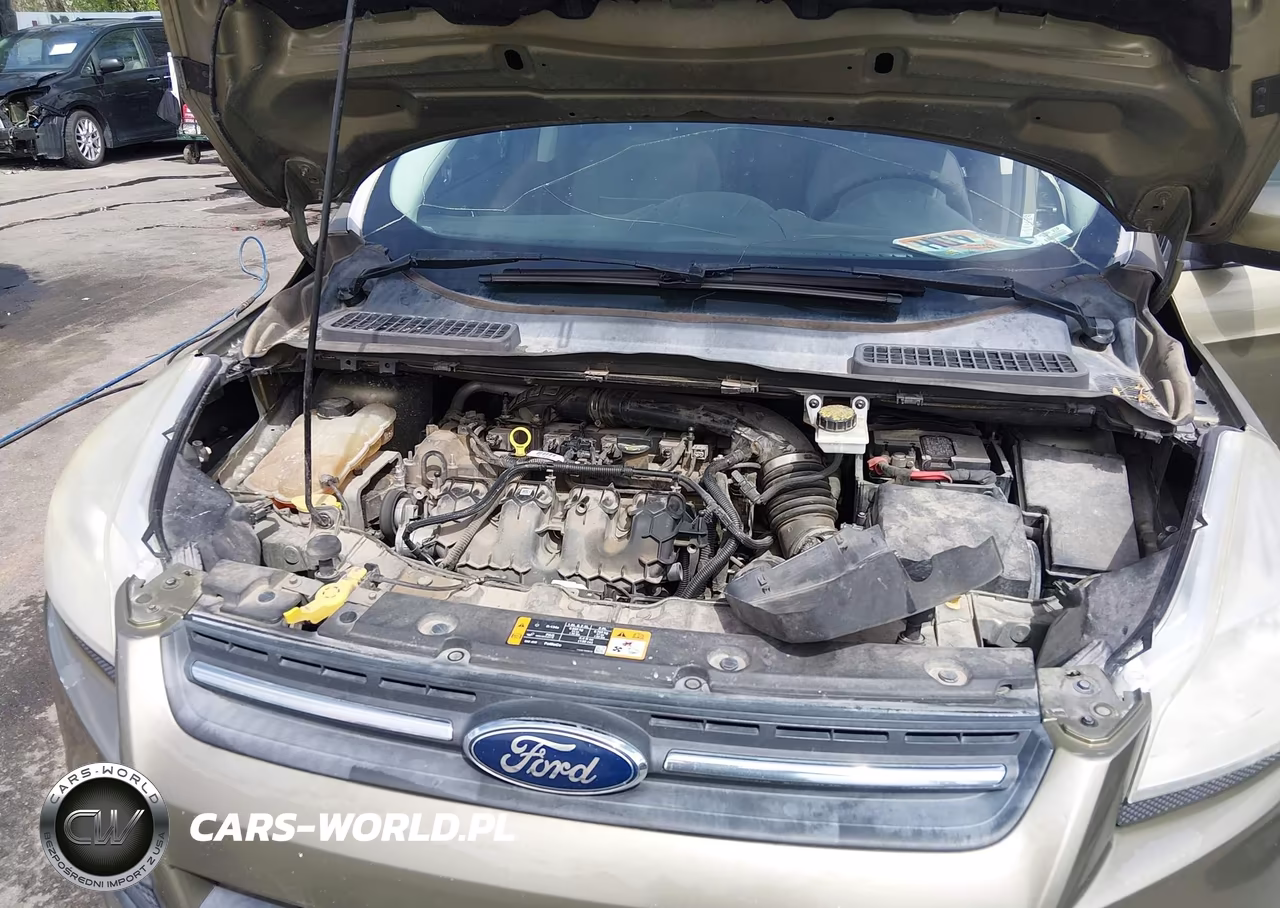 2014 Ford Escape Se VIN:1FMCU9G97EUA31073 - 10