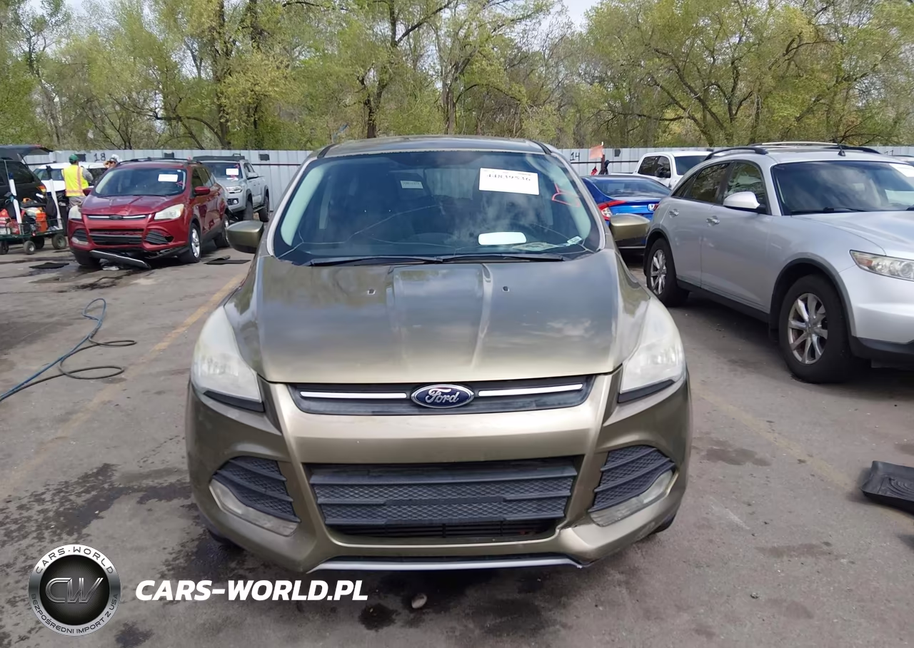 2014 Ford Escape Se VIN:1FMCU9G97EUA31073 - 13