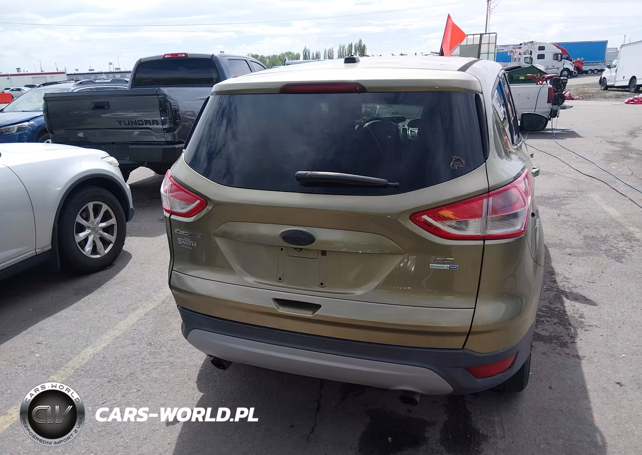 2014 Ford Escape Se VIN:1FMCU9G97EUA31073 - 17