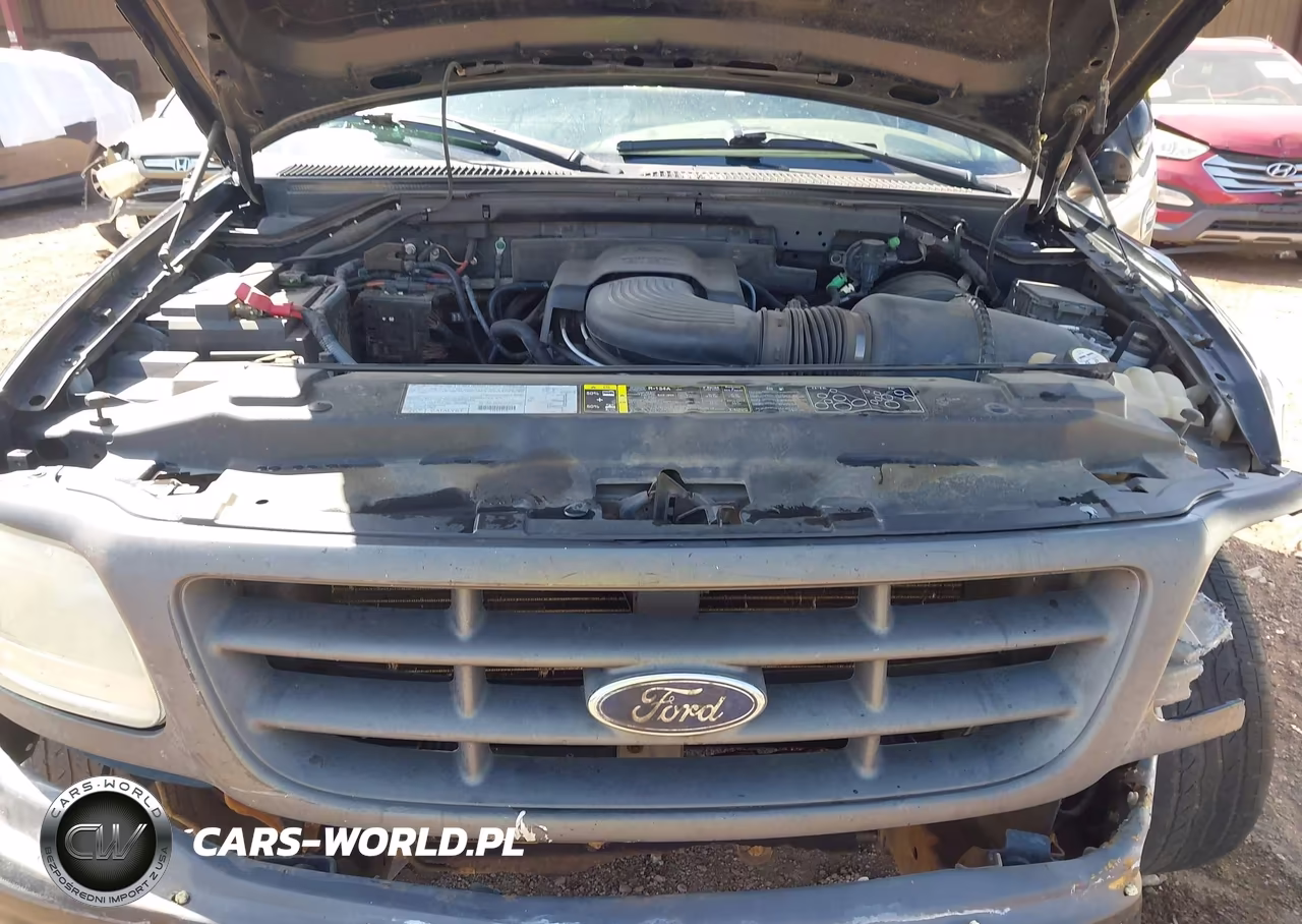 2003 Ford F-150 Lariat-Xl-Xlt VIN:1FTRX17W13NA45149 - 10