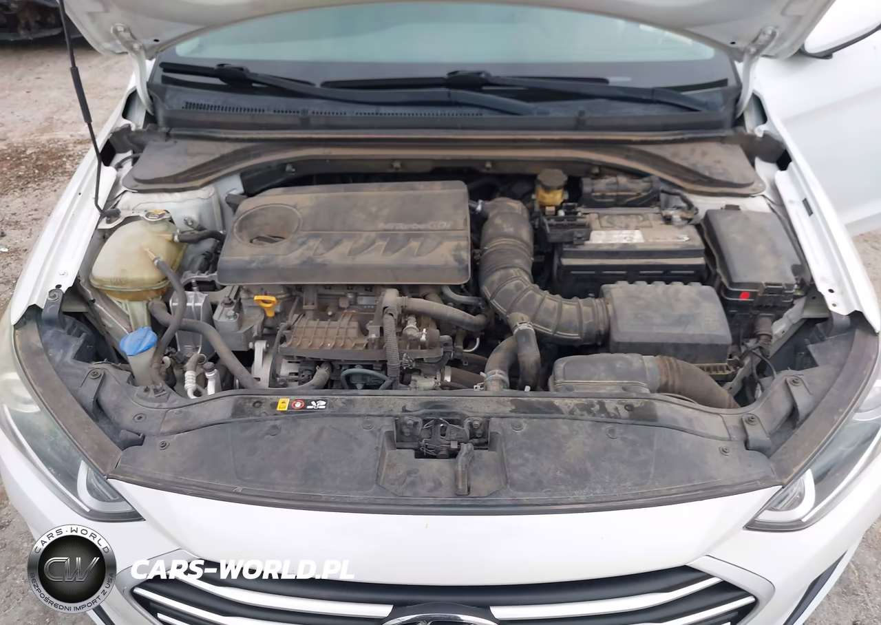 2018 Hyundai Elantra Eco VIN:5NPD94LA5JH306814 - 10